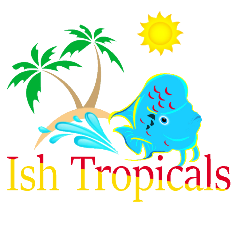ish tropical logo.png